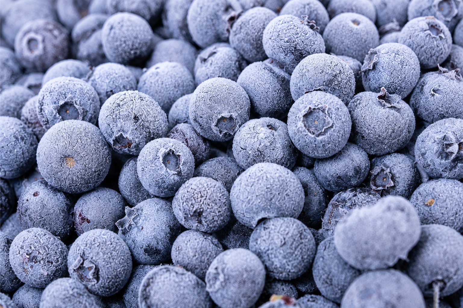 Blueberry Frozen