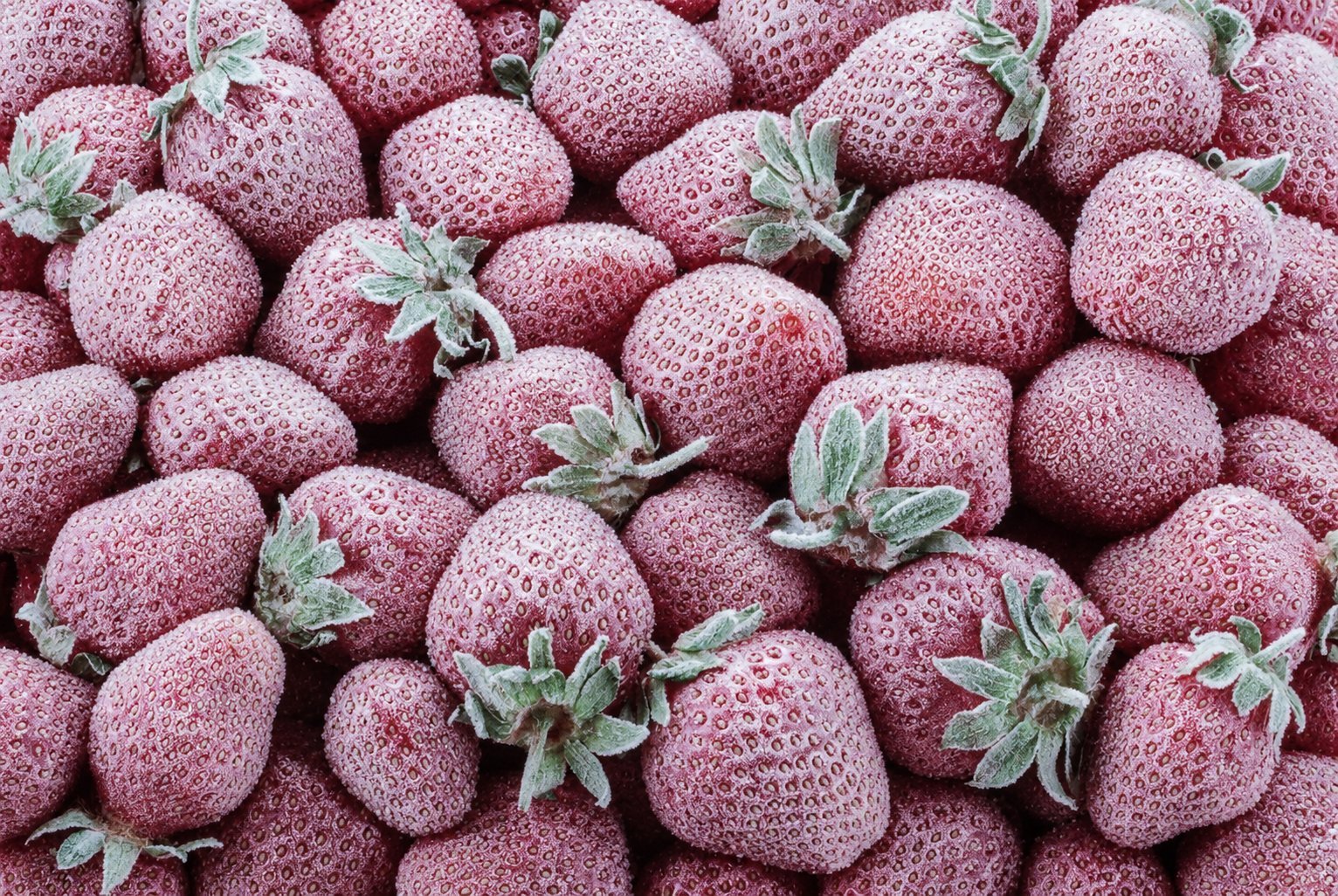 Strawberry Frozen