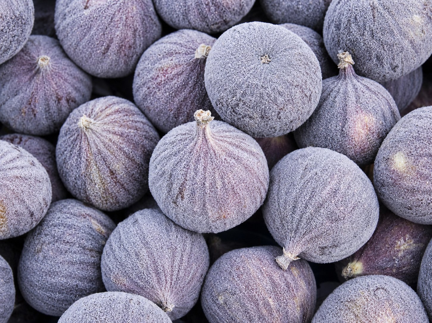 Figs Frozen