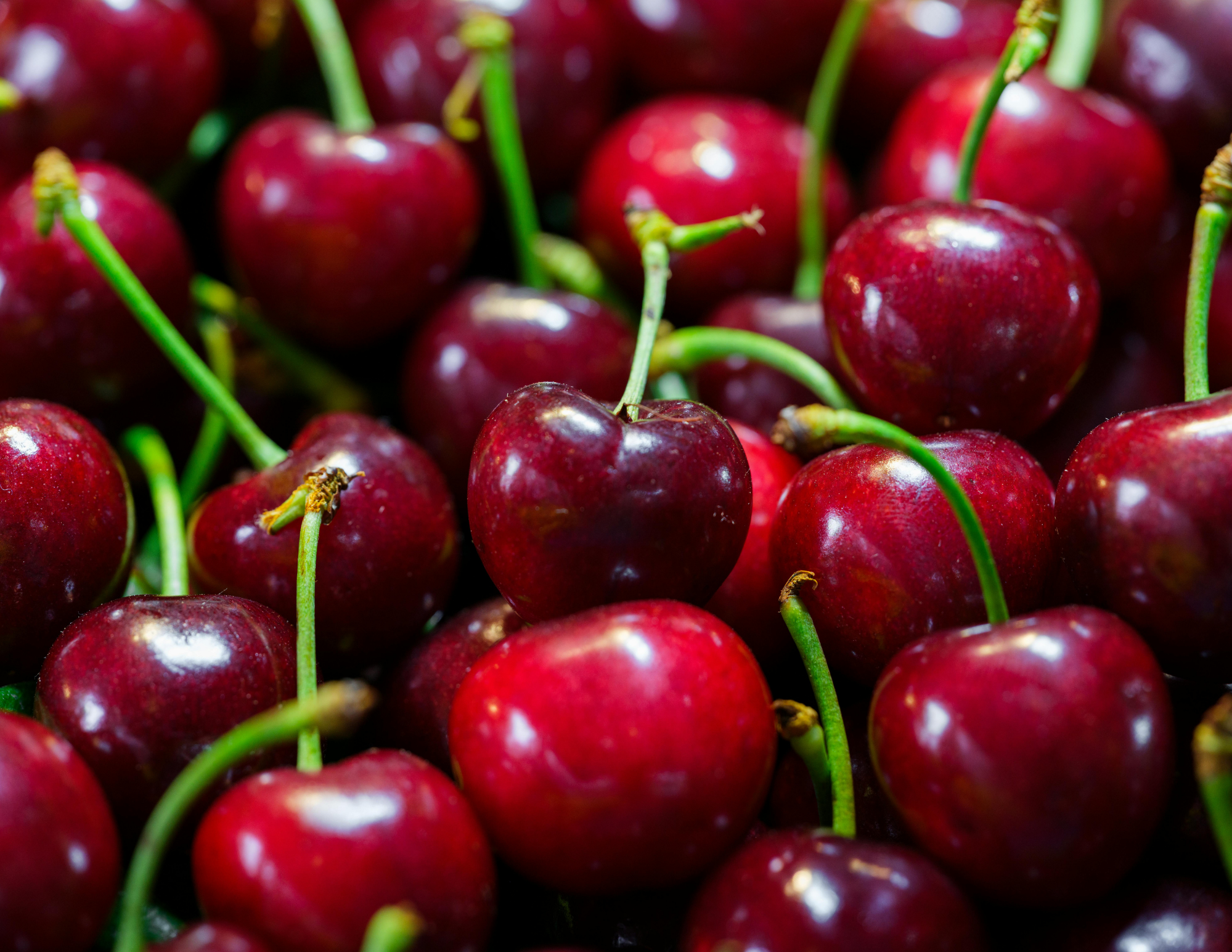 Sweet/Sour Cherry