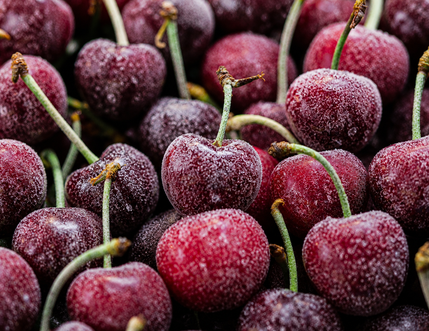 Sweet/Sour Cherry Frozen
