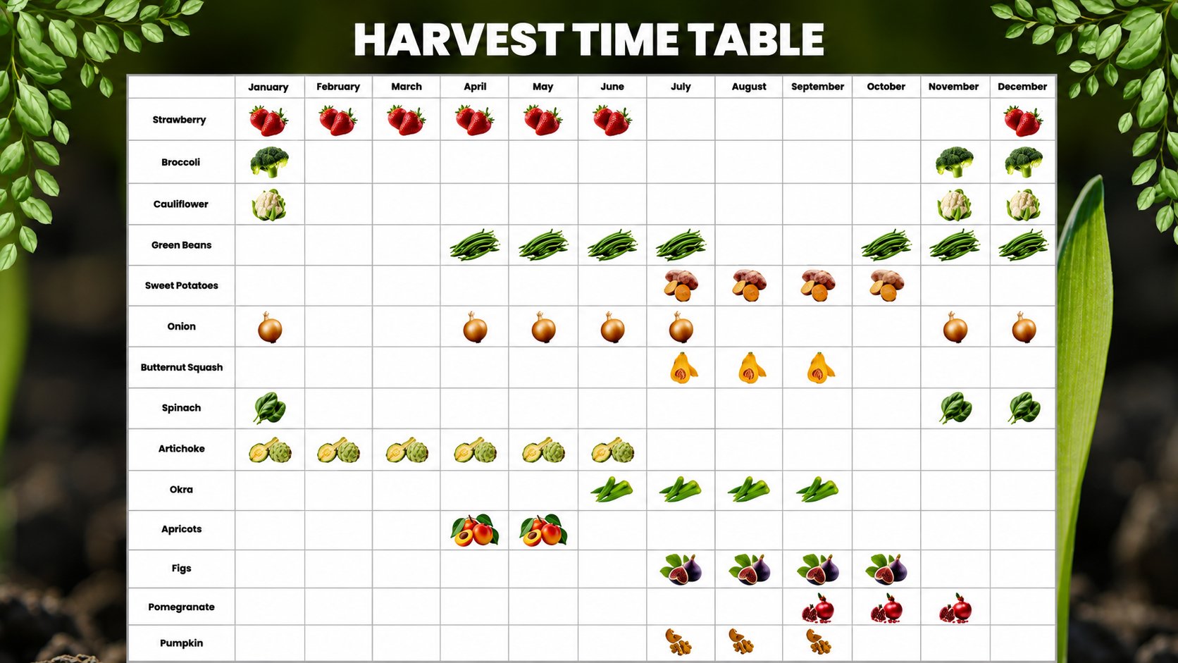 Harvest Time Table