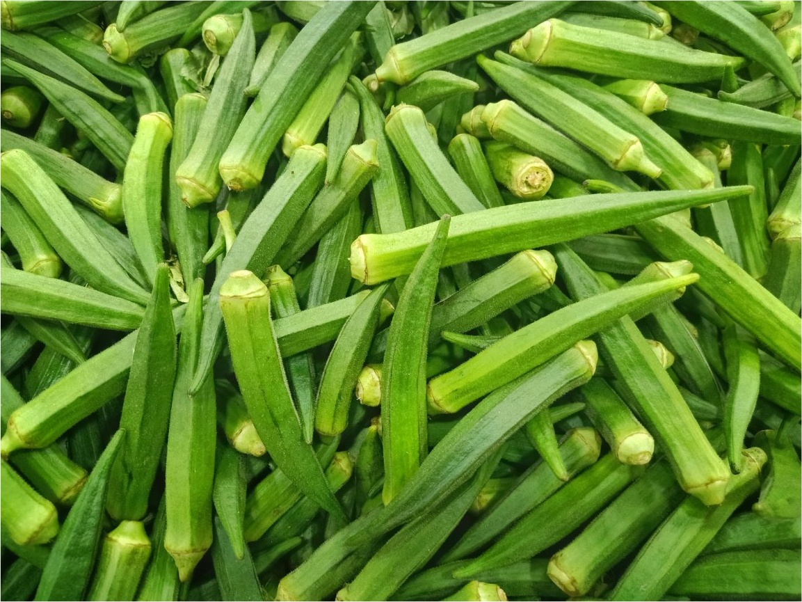 Okra