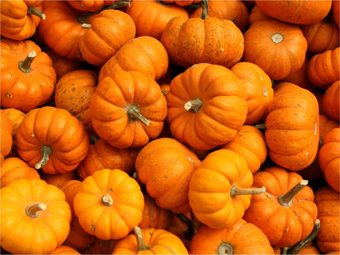 Pumpkin