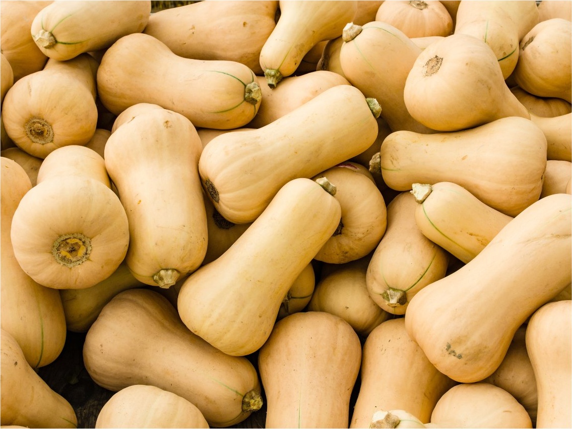 Butternut Squash
