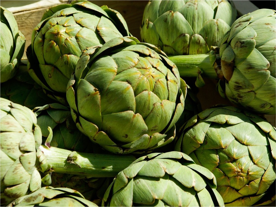 Artichokes