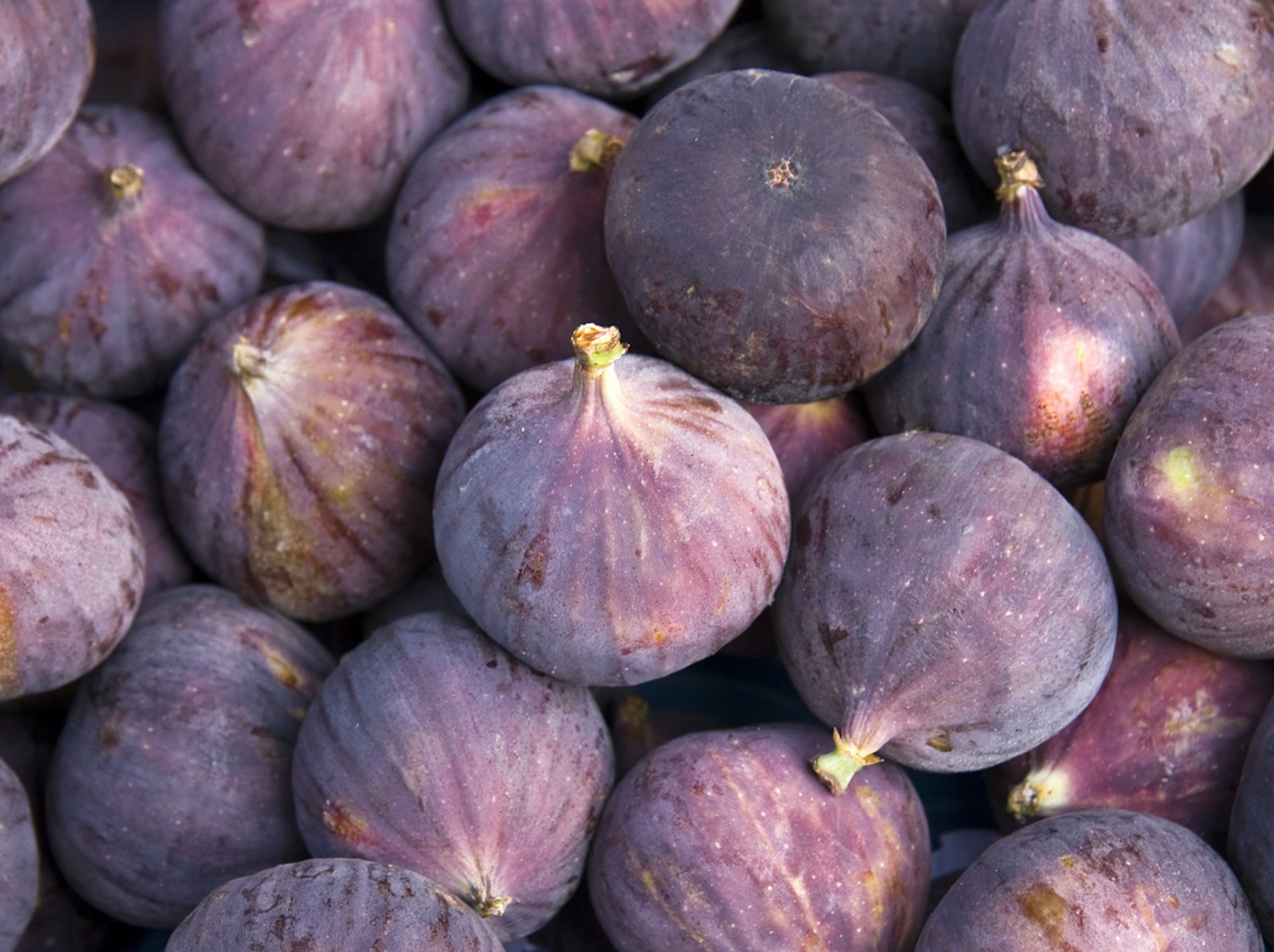 Figs