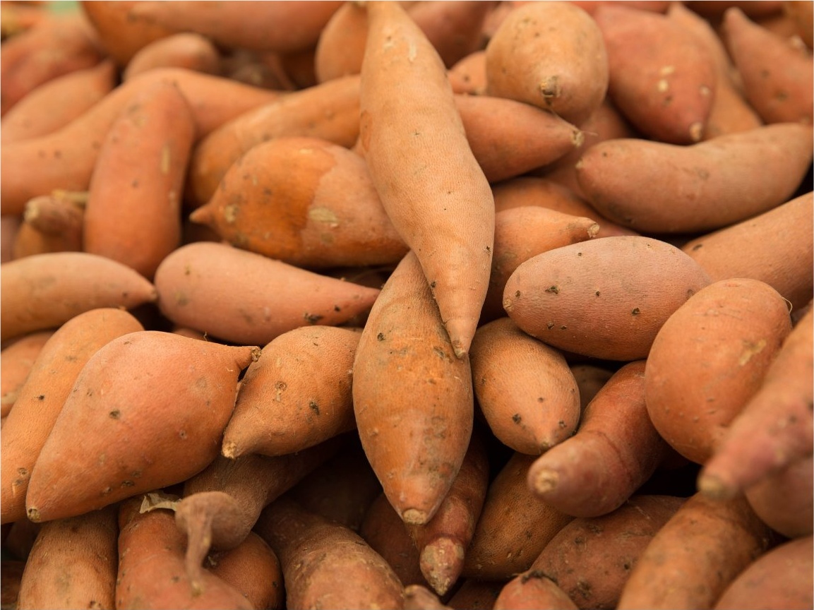 Sweet Potato